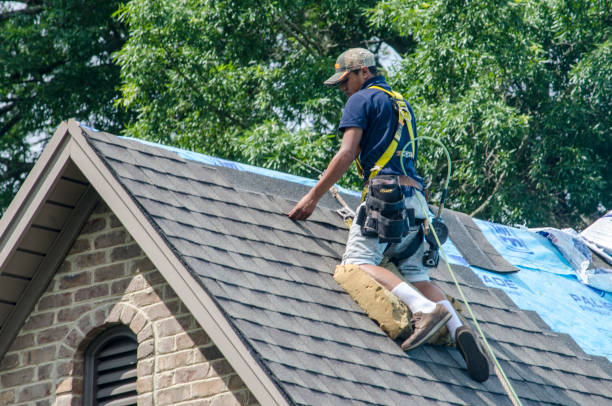Roof Repair Estimates in Frisco, TX